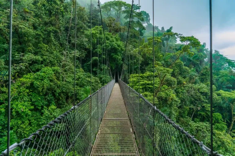 Hanging bridges
