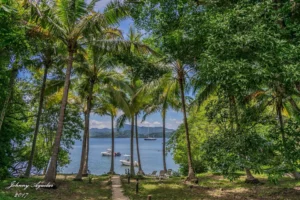 Bahia Rica Fishing Lodge