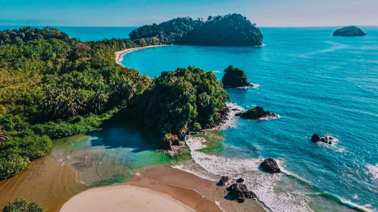 Makanda By The Sea Manuel Antonio