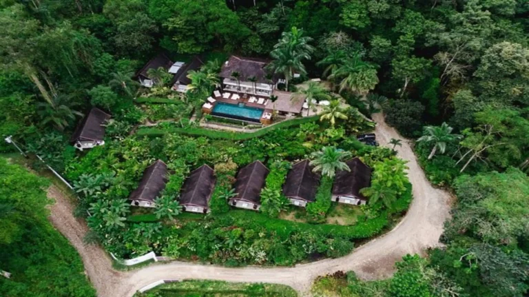 Oxygen Jungle Villas