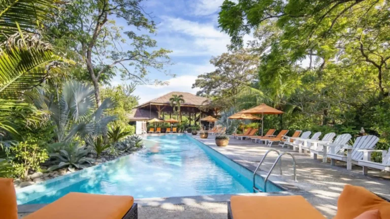 Bodhi Tree Yoga Resort