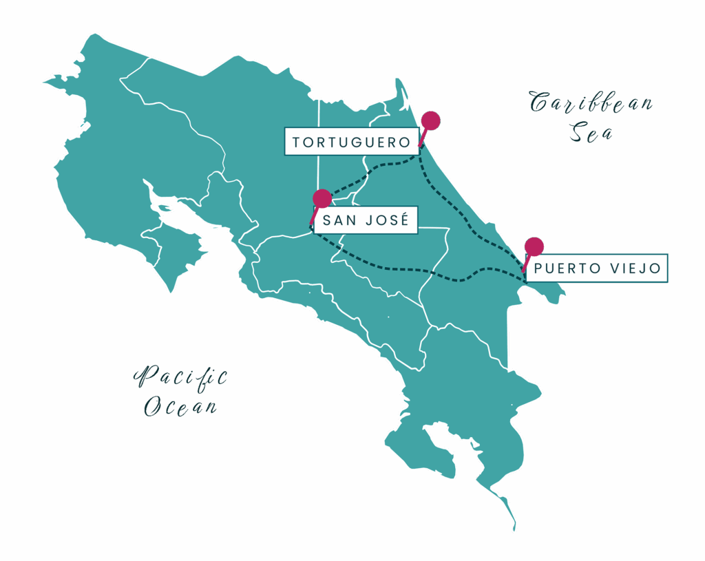 Caribbean rainforest & beach