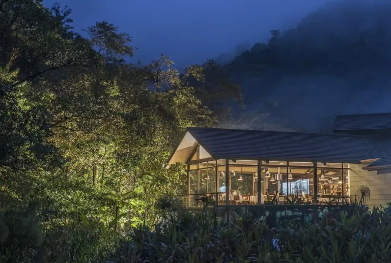 Forest Sundwon Dinner El Silencio Lodge night