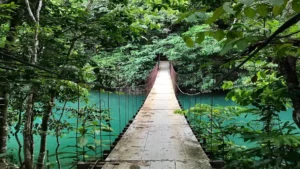 Excursion Package Drake Bay Corcovado