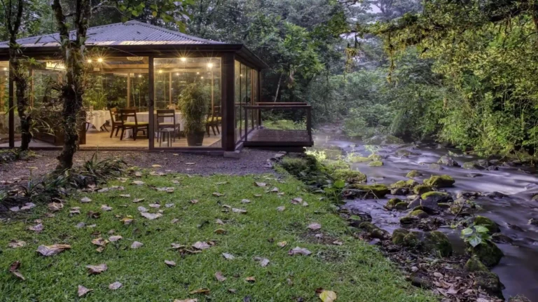 Forest Sundown Dinner El Silencio Lodge & Spa