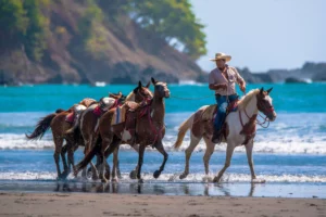 Horseback Riding Beach Costa Rica