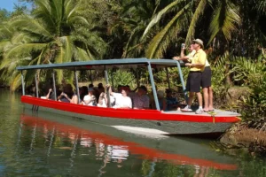Isla Damas Mangrove Boat Tour