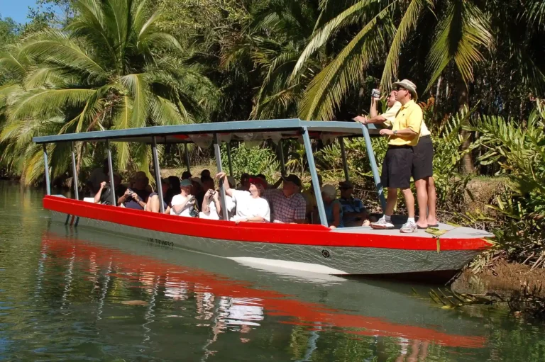 Isla Damas Mangrove Boat Tour