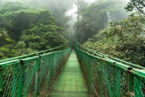 Suspension hanging bridge Costa Rica rainforest