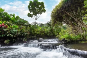 Tabacon hot springs water big