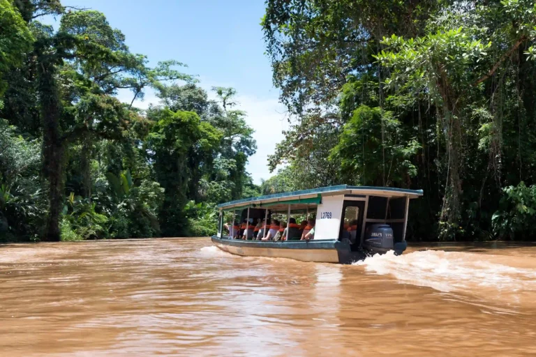Tortuguero boat