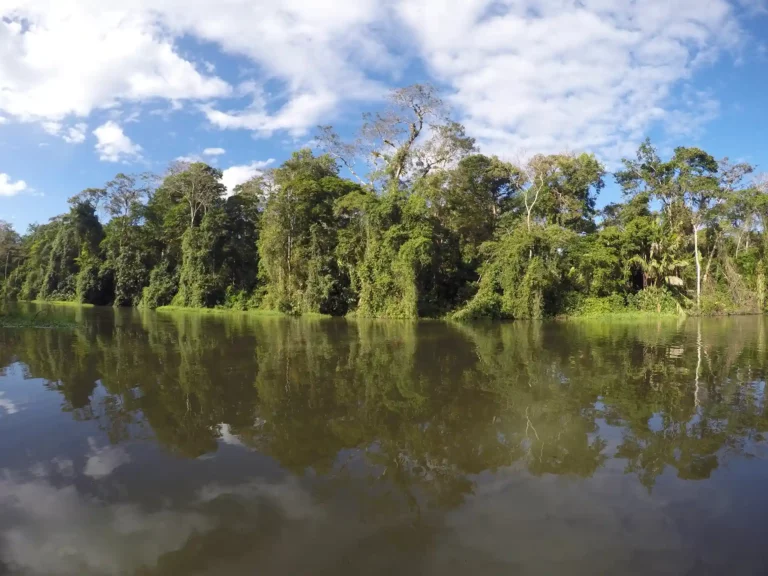 Tortuguero national park big
