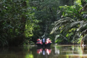 Wildlife River boat tour