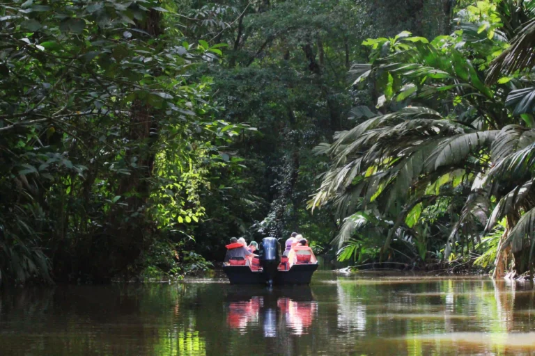 Wildlife River boat tour