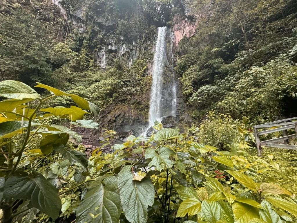 Buena Vista Adventure Tour