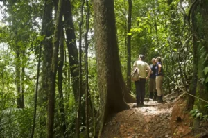 Cabécar Indigenous Hike