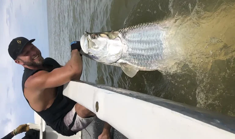 Tarpon Fishing